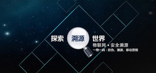 农产品质量安全可追溯系统开发方案 基于现代网络技术的构建与实施